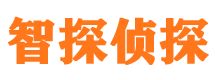 互助侦探公司